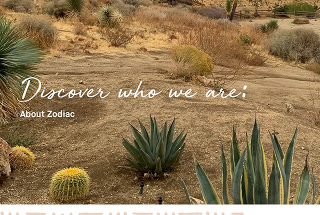 Discover Who We Are